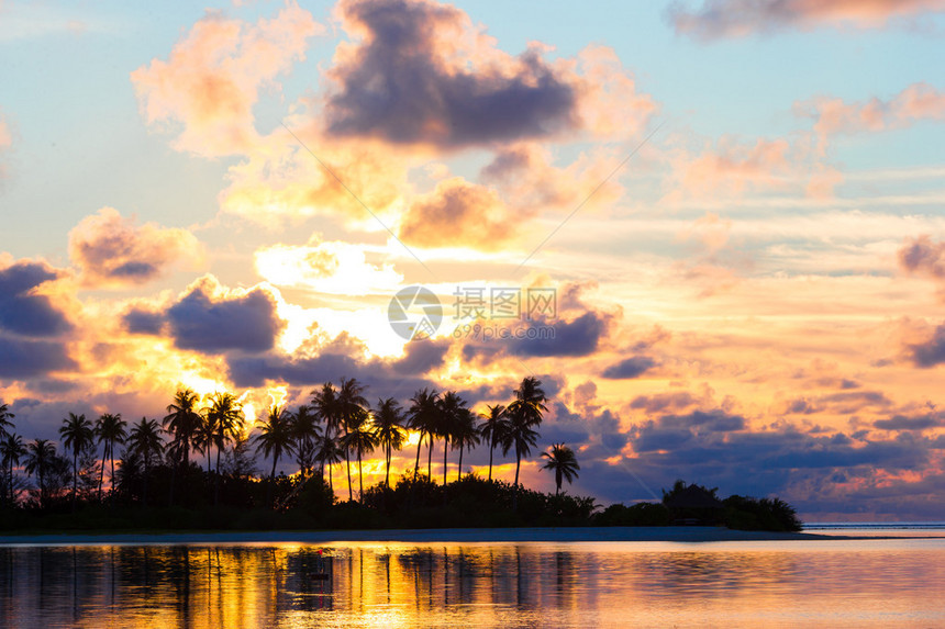 海边日落棕榈树的黑光影和云图片