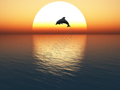在日落背景上跳跃的海豚图片