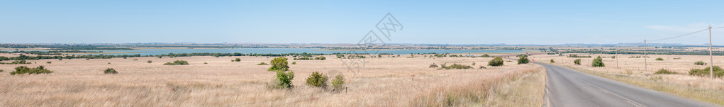 Bloemfontein与南非自由邦省梅内斯维尔之间的克鲁格图片