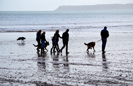 佩恩顿海滩上的剪影遛狗者背景图片