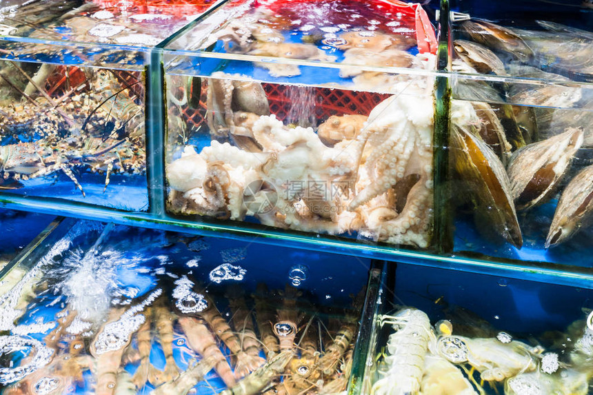 春季前往广州市黄沙海产品贸易市场的章鱼图片
