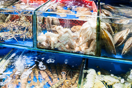 春季前往广州市黄沙海产品贸易市场的章鱼图片
