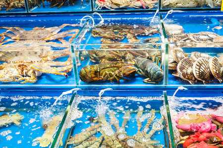 到旅游广州市黄沙水产品交易市场春季螃蟹背景图片