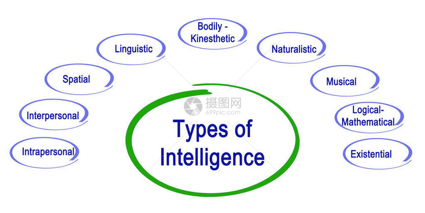 九种智力图片