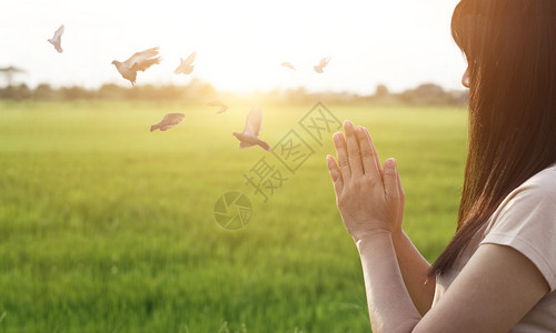 女人在自然背景下尊重和与鸟儿一起祈祷图片