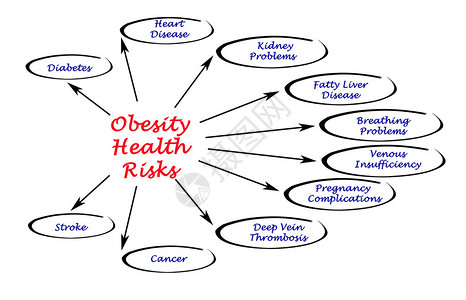 肥胖健康风险图片