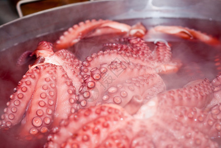 在锅里做饭的章鱼图片