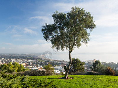 加州文图拉VenturaCaliforn图片
