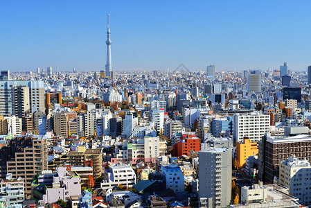 东京天空树塔在日本东京密背景图片