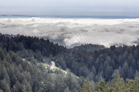 小气候美国加利福尼亚州马林县Tamaalpa背景