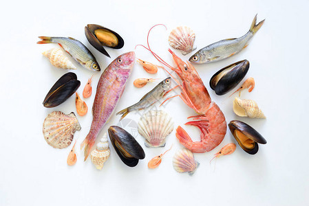 海食物成分平板鱼虾贝壳和贝图片