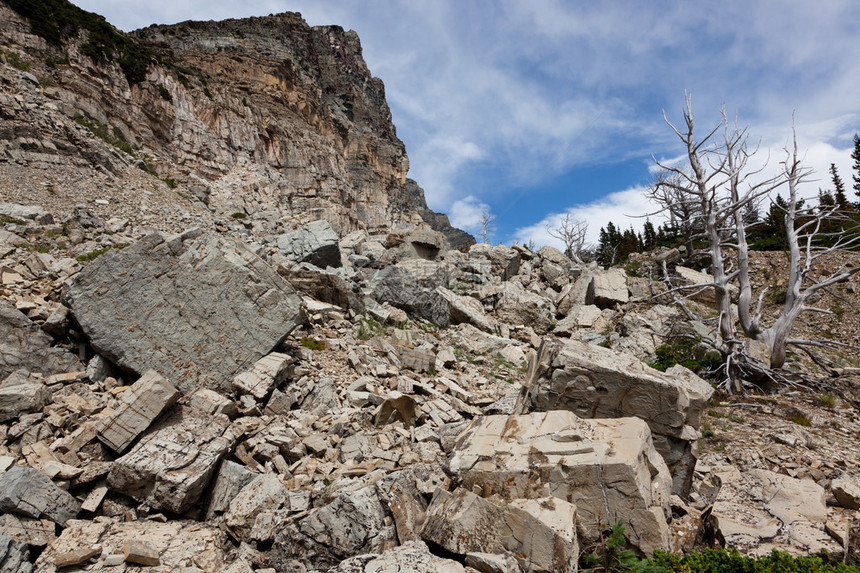 在蒙大拿州格拉西耶公园一棵死树旁边的山坡上滑倒周围是一座高图片