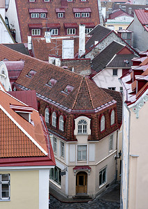 爱沙尼亚塔林老城的屋图片