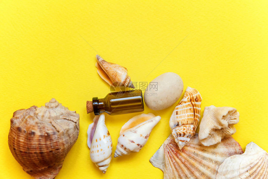 热带背景黄色彩时尚现代时尚背景下的贝壳和玻璃瓶假期旅行夏季周末海上图片