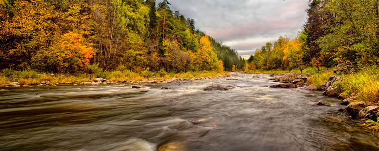 俄罗斯秋天森林间小山河流图片