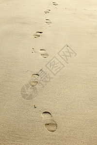 海滩沙子上的人类脚印图片