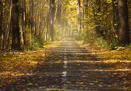 秋季风景农村道路空旷图片