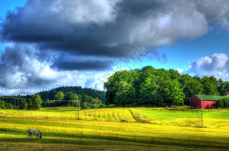 风景秀丽的乡村风景与一匹马HDR图像图片