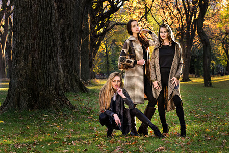 三个美丽的年轻模特穿着秋天优雅的衣服在图片