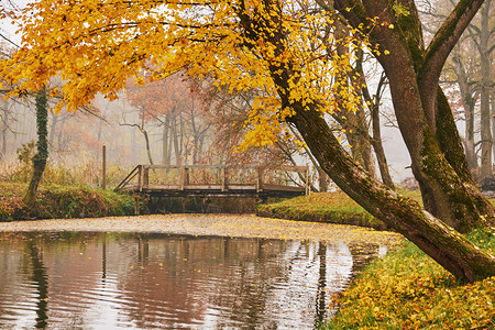 秋季公园水上桥图片