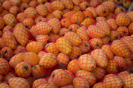 市场上的马鲁拉水果收图片