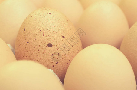 纸板托盘里有一个带雀斑的鸡蛋的棕色鸡蛋图片