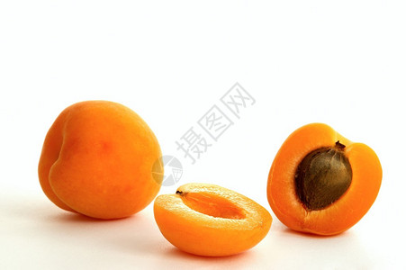 白地上的杏子图片