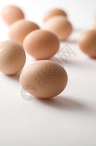 白色背景上的鸡蛋高清图片