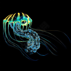 生物发光的Jellyfish是捕食者图片