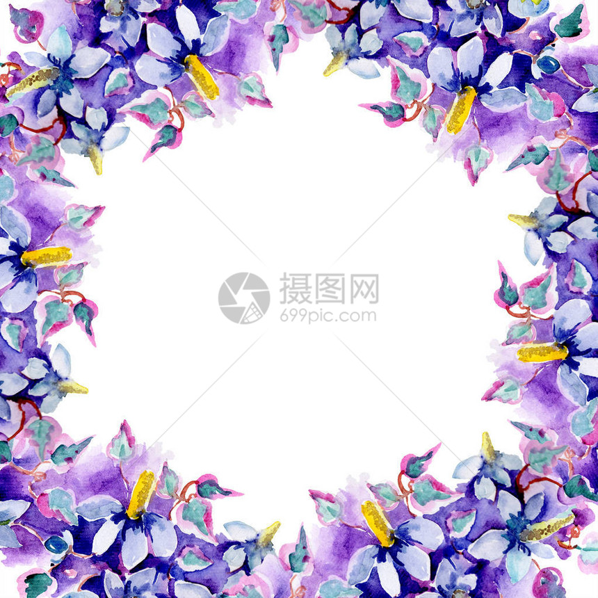 紫色的花束水彩背景插图集水彩画时尚水彩画孤立框架图片