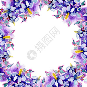 紫色的花束水彩背景插图集水彩画时尚水彩画孤立框架图片