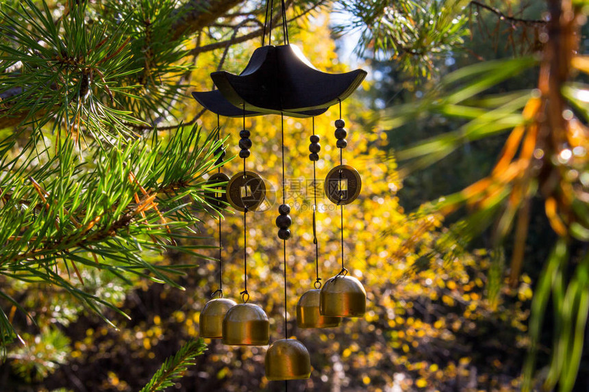 特写风铃在秋天的花园幸福成功权力财富硬币和铃铛挂在森林中黄色和绿色树木背景上的一根绳图片