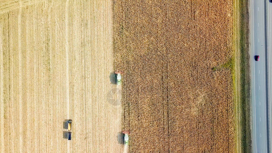 收割玉米收割机从田间收割玉米俄罗斯图片
