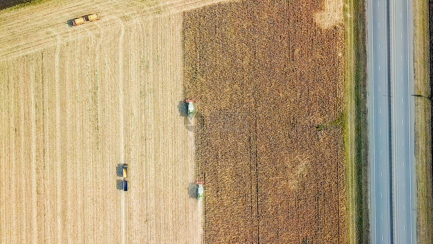收割玉米收割机从田间收割玉米俄罗斯图片