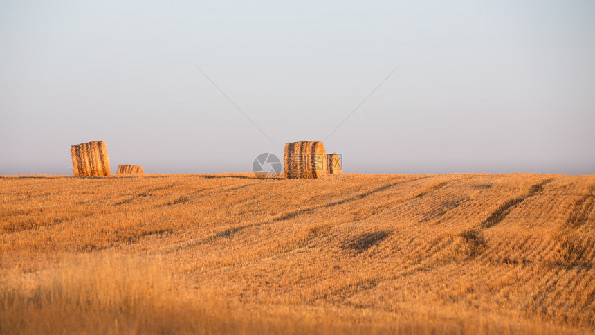 耕种的麦田和秸杆卷图片