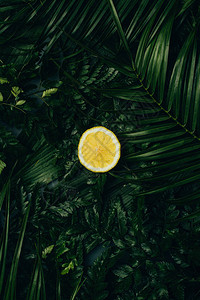 绿色棕榈叶上多汁柠檬图片