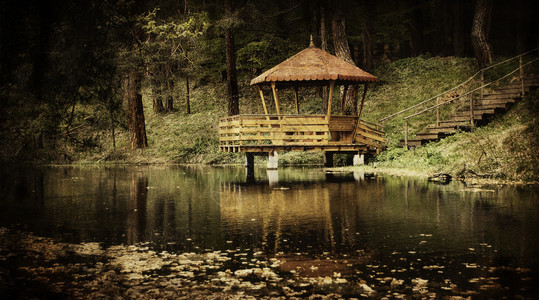 带湖的复古森林景观图片