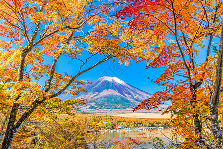 秋天从山中湖出发的日本富士山图片