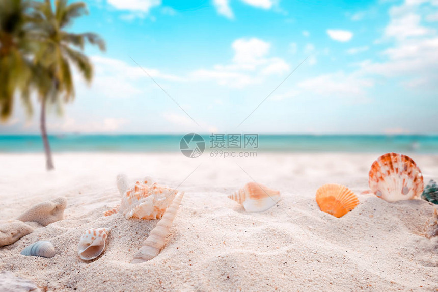 海边夏日海滩图片