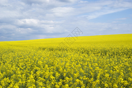 乌克兰波多利亚图片