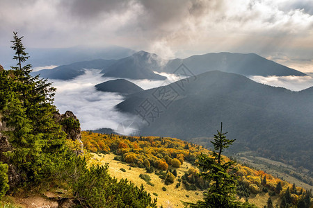 美丽的晨间山景图片