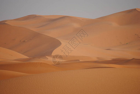 撒哈拉沙漠丘之景摩洛哥非洲Erg图片
