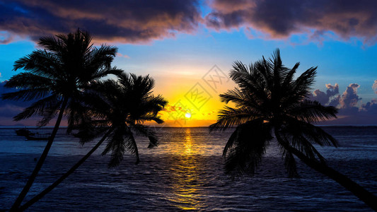 在日落的热带海滩与剪影棕榈树图片