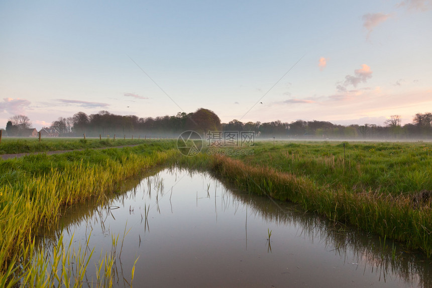 日落时用运河在薄雾中草地上撒河荷兰图片