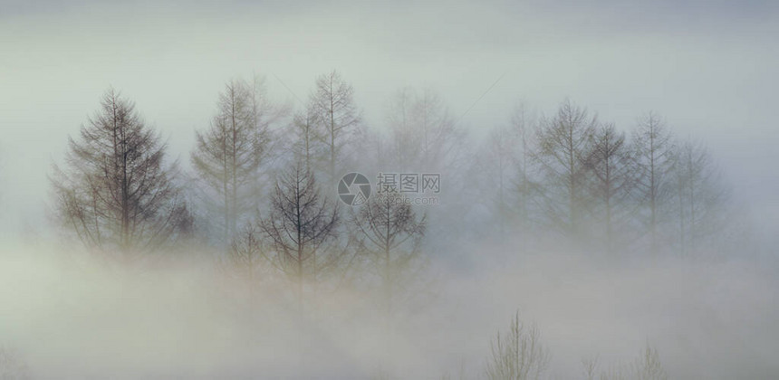 北海道冬天的霜烟图片