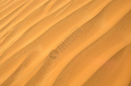 大撒哈拉沙漠的沙丘图片