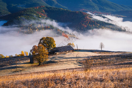 山中晨雾的秋景图片