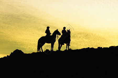 杰兹迪奇两匹骑马的雪橇在山上向着黄色的天背景