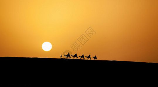 阳光下的迪拜沙漠图片