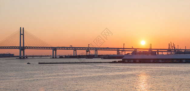 日本横滨的海湾大桥日出图片